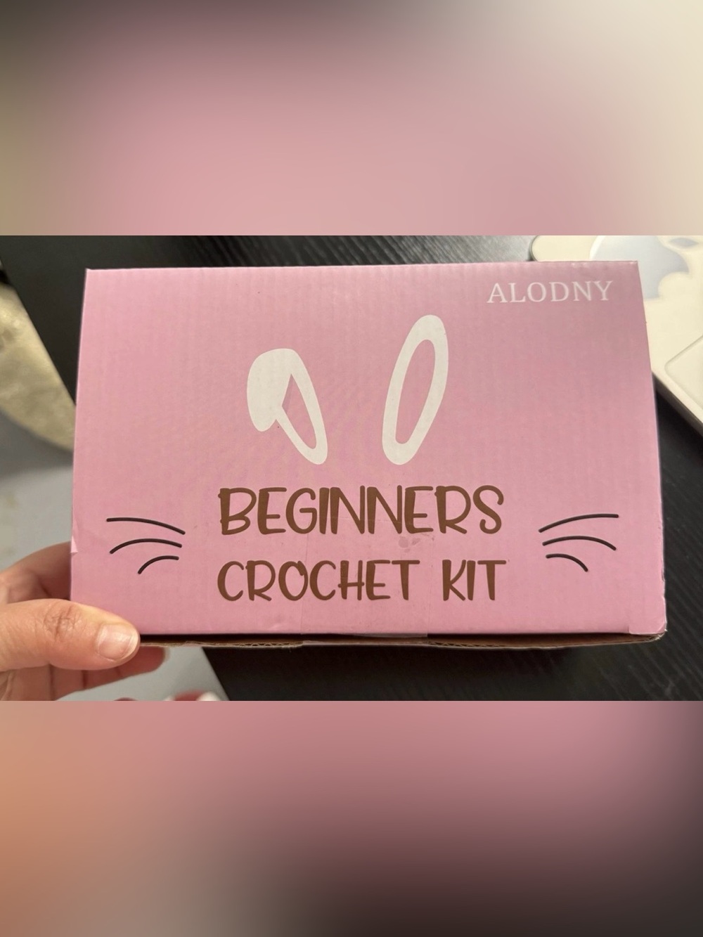 Beginners Crochet Kit - Pink